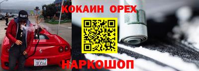гашик Гай