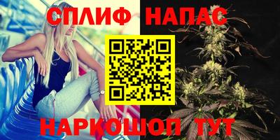 гашик Гай