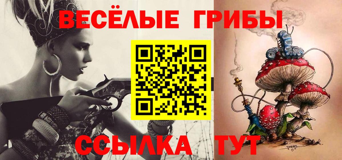 наркотики  Вход с VPN  Елабуга  Галлюциногенные грибы Magic Shrooms  Псилоцибиновые грибы Psilocybine cubensis 