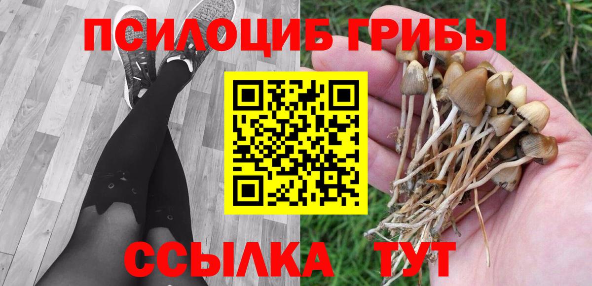 Галлюциногенные грибы GOLDEN TEACHER Елабуга