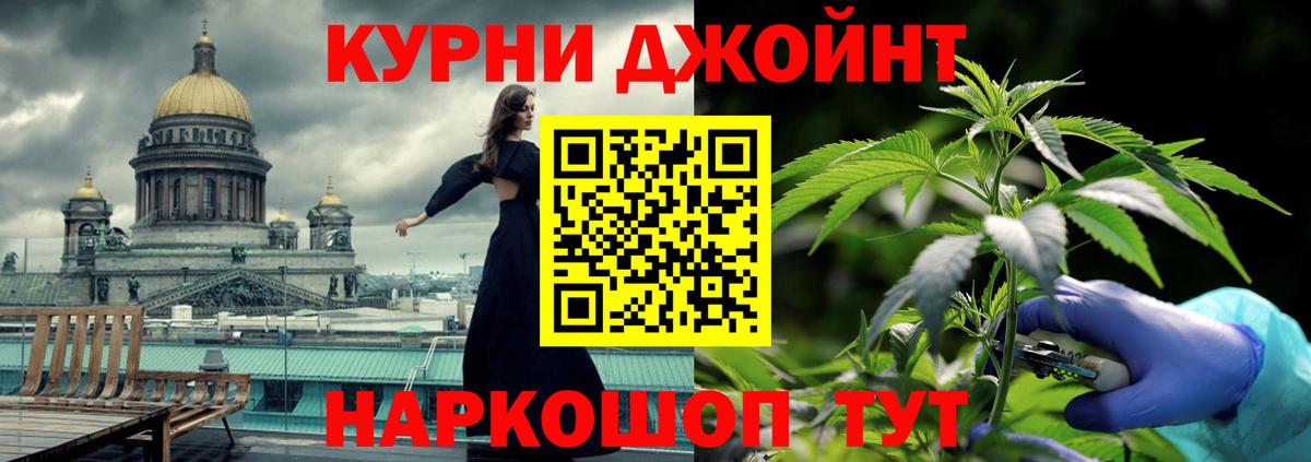 Шишки марихуана планчик  МАРИХУАНА семена  Вход с VPN  Елабуга  Конопля Bruce Banner 